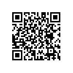 D55342K07B4H30PWSV QRCode