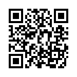 DBMMG13X3PJ QRCode