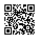 DBMP13X3SJA197 QRCode