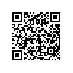 DBMQ17H2P0L4A191K87 QRCode