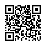 DEBE33F102ZD3B QRCode