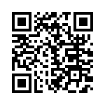 DEE9PA191K87 QRCode