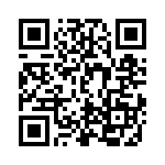 DEMMY9PA101 QRCode