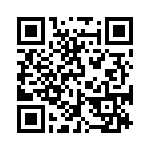 DS1013S-20_1A3 QRCode