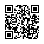 DS2175_1A3 QRCode