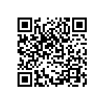 DW-02-08-T-S-311 QRCode