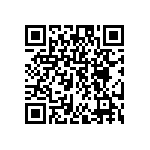 DW-02-09-F-D-393 QRCode