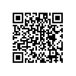 DW-02-13-T-S-906 QRCode