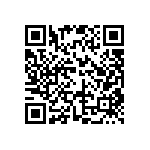 DW-03-09-T-D-300 QRCode