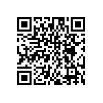 DW-03-15-G-S-295 QRCode