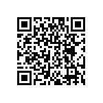 DW-04-07-T-S-213 QRCode