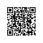 DW-04-10-T-S-270 QRCode