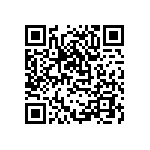 DW-04-10-T-S-580 QRCode