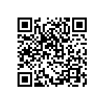 DW-04-11-T-S-690 QRCode