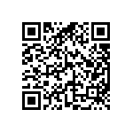 DW-04-12-T-D-787-LL QRCode