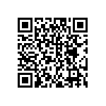 DW-04-13-S-S-980 QRCode