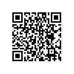 DW-04-15-S-S-413 QRCode