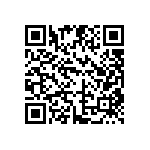 DW-04-17-L-Q-200 QRCode