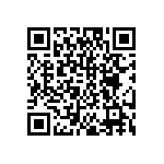 DW-04-17-T-S-250 QRCode