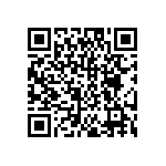 DW-04-17-T-S-275 QRCode