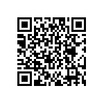 DW-04-20-L-S-867 QRCode