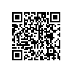 DW-06-13-L-D-969 QRCode