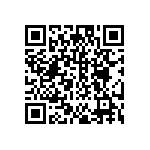 DW-06-13-T-S-915 QRCode