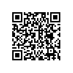 DW-09-13-T-S-1010 QRCode