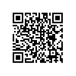 DW-12-11-T-S-700 QRCode