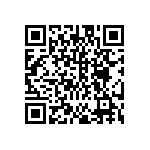 DW-12-13-L-S-945 QRCode