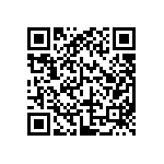 DW-18-11-T-S-617-LL QRCode