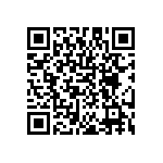 DW-21-08-T-Q-300 QRCode