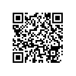 DW-38-13-F-S-955 QRCode