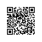 DW-39-09-F-S-380 QRCode