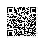 DW-41-13-F-D-935 QRCode