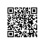 DW-45-13-F-S-970 QRCode