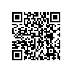 DWM-01-01-G-S-300 QRCode