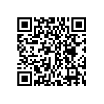 DWM-01-53-L-S-385 QRCode