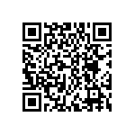 DWM-04-55-G-S-388 QRCode