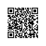 DWM-04-56-S-S-300 QRCode