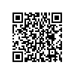 DWM-13-51-S-S-250 QRCode