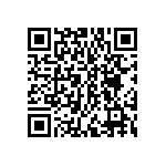 DWM-13-53-G-S-250 QRCode