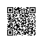 DWM-17-52-T-S-250 QRCode