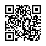 E101SYZBE QRCode