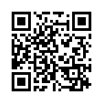 E13522 QRCode