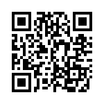 ECC12DTKT QRCode