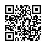 EP4CE22E22C8 QRCode