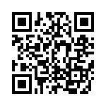 EP4CE22F17C6 QRCode