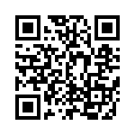 EP4CE6F17C8L QRCode