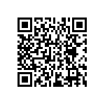 ESMG161ELL391MP30S QRCode